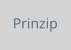 Prinzip